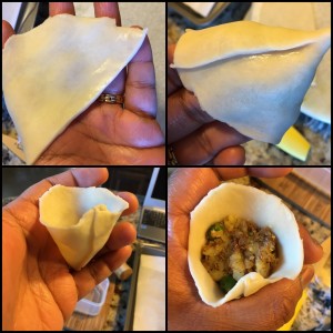 Fold & Shape Samosa