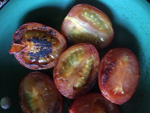 Pan grilled tomatoes