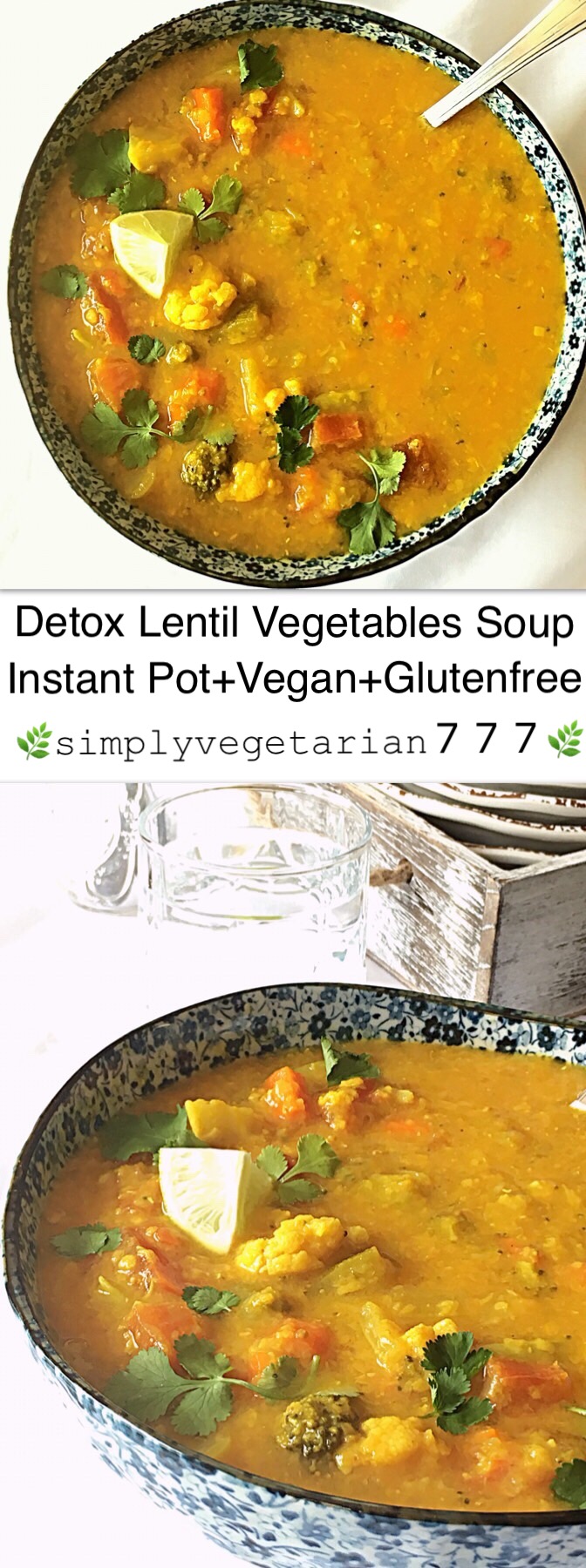 Instant pot discount detox vegetable soup