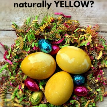 Chemical free Easter eggs dying
