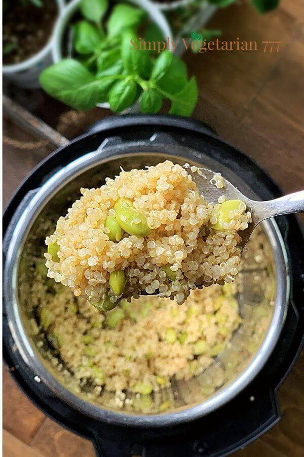 Cooking Quinoa in Pressure cooker - simplyvegetarian777